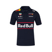 Polo hombre Team Red Bull Racing 2025