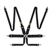 Cinturones de seguridad de 6 puntos OMP Saloon FHR negro